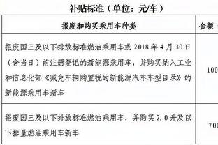 布伦特福德主帅：哈弗茨那次倒地是假摔，应该领第二张黄牌